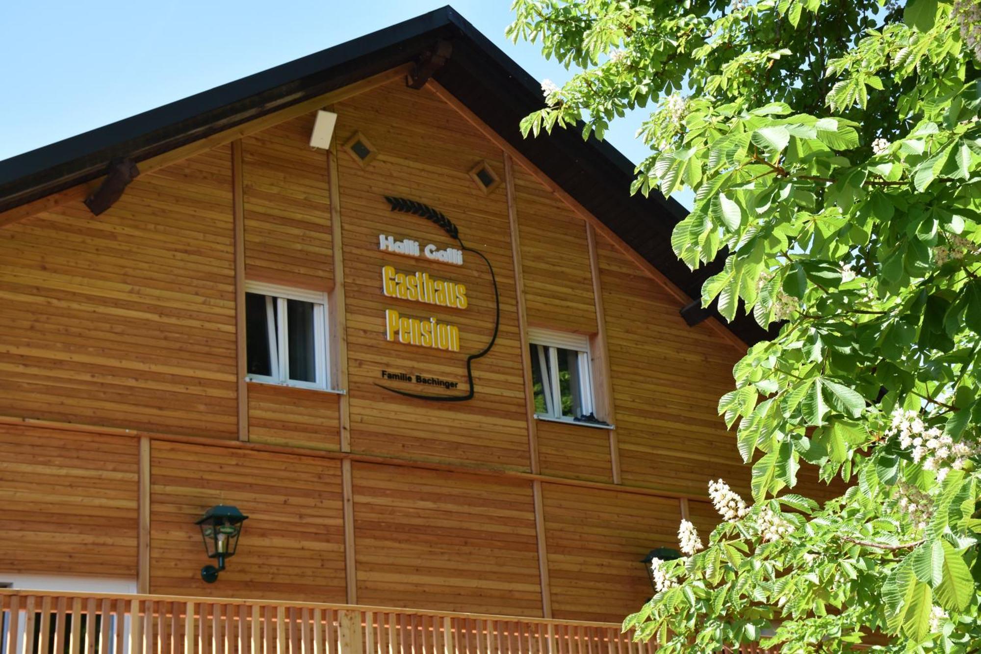 Gasthaus Und Pension Halli-Galli Pasov Exteriér fotografie