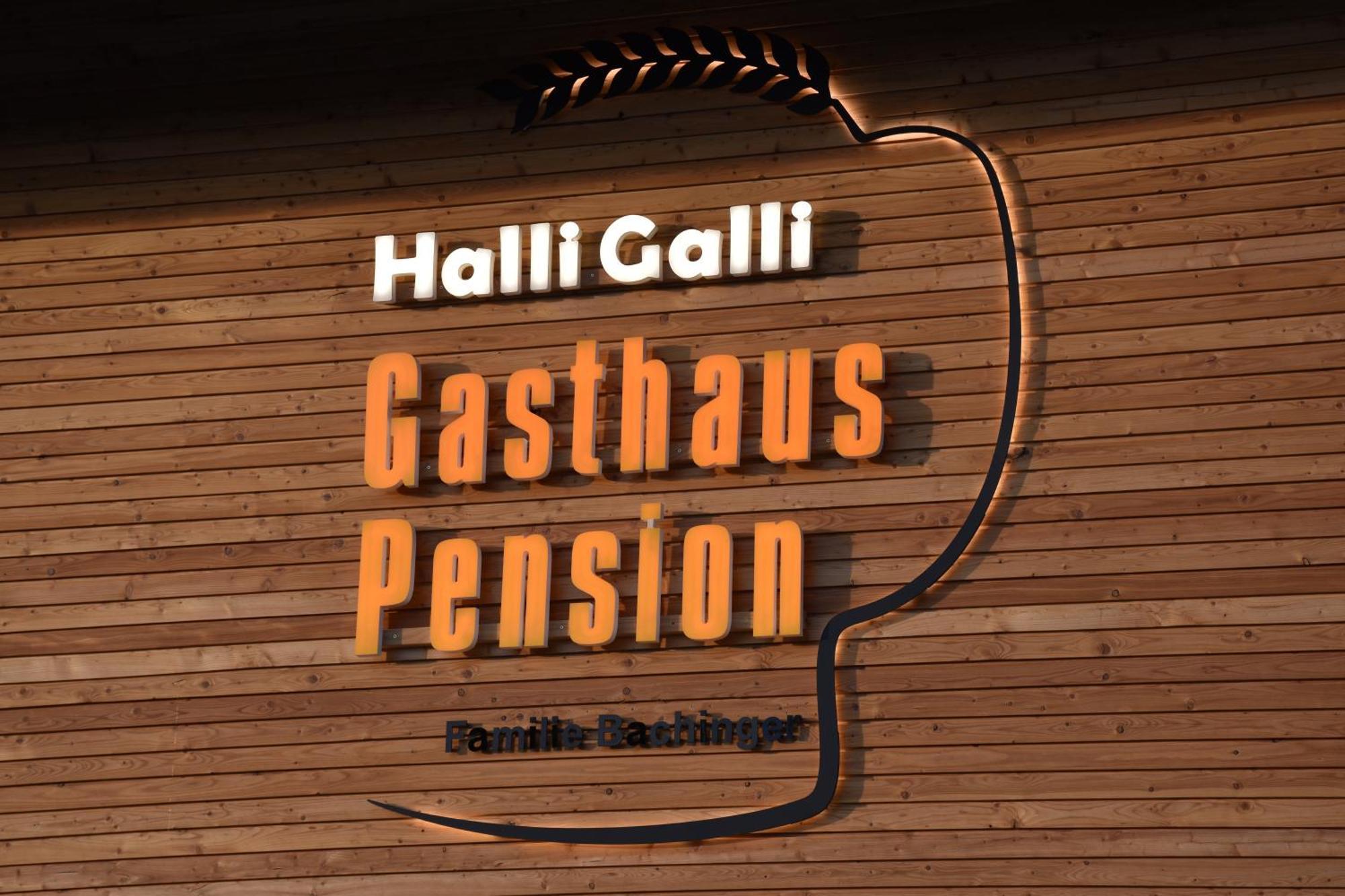 Gasthaus Und Pension Halli-Galli Pasov Exteriér fotografie